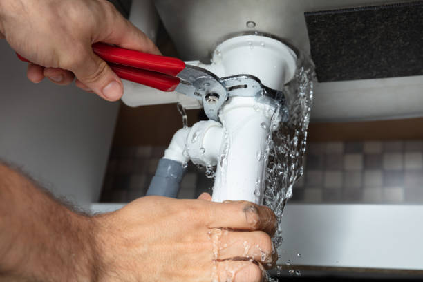Best Carpet water damage restoration  in Ajo, AZ