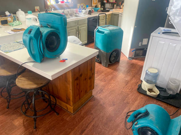 Best Water damage repair service  in Ajo, AZ