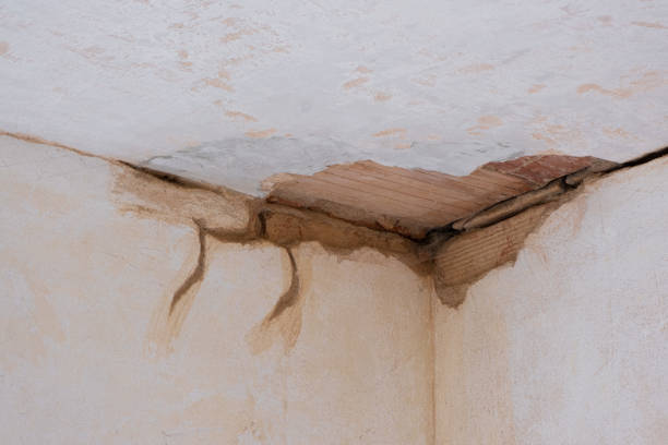 Best Flood restoration services  in Ajo, AZ