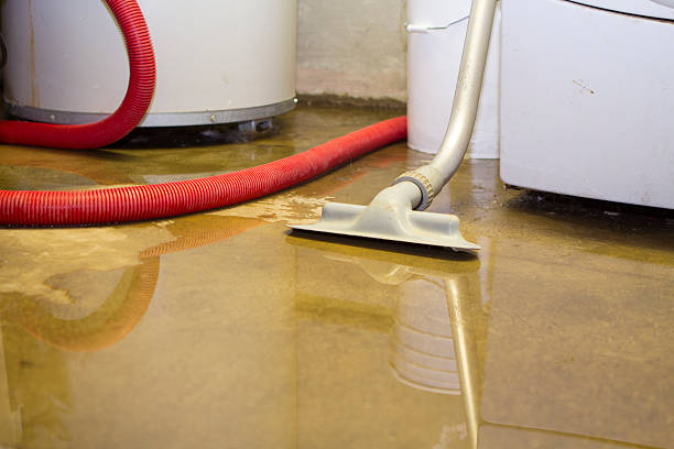 Best Water damage mitigation services  in Ajo, AZ