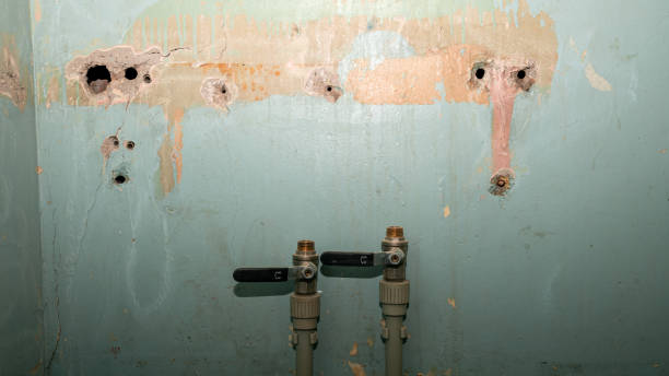 Best 24/7 water damage repair  in Ajo, AZ