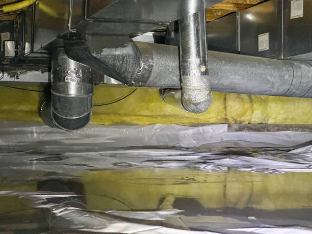 Best Sewage cleanup and water damage restoration  in Ajo, AZ